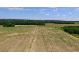 Property photo 2 - REAL ESTATE AUCTION - 26.61+/- ACRES IN NOBLE COUNTY, INDIANA